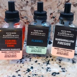 *BBW* Wallflower Bundle